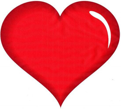 Denham Springs Animal Shelter - Pet Shelter and Rescue in Denham Springs, Louisiana