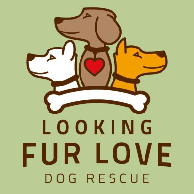 Looking Fur Love Dog Rescue - Pet Shelter and Rescue in Baton Rouge, Louisiana