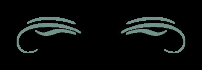 Wild Cat Foundation - Pet Shelter and Rescue in Lafayette, Louisiana