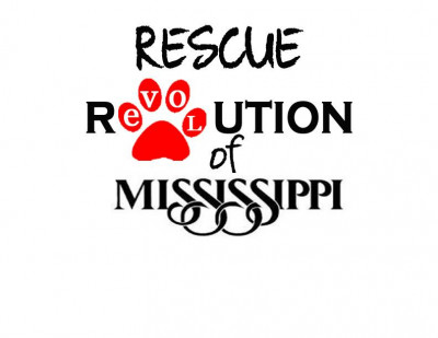 Rescue Revolution Of Mississippi - Pet Shelter and Rescue in Jackson, Mississippi