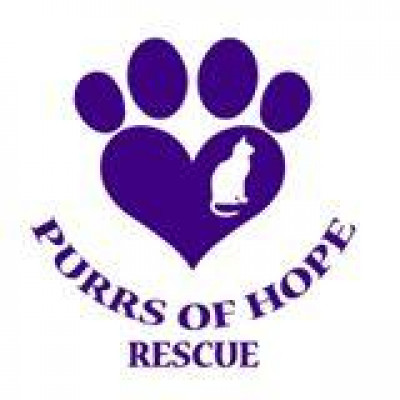Purrs Of Hope Rescue - Pet Shelter and Rescue in Hammond, Louisiana