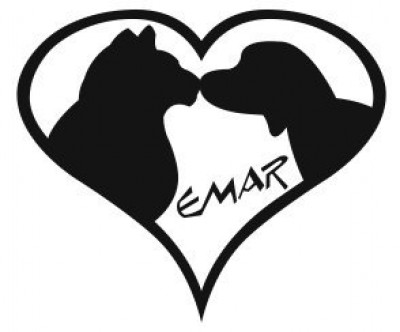 East Mississippi Animal Rescue - Pet Shelter and Rescue in Meridian, Mississippi