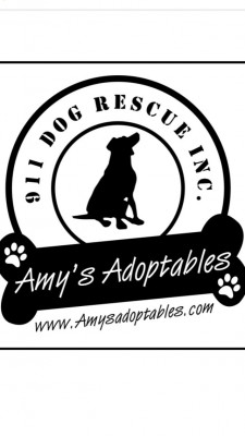 911 Dog Rescue Inc. - Pet Shelter and Rescue in Eastlake, Ohio