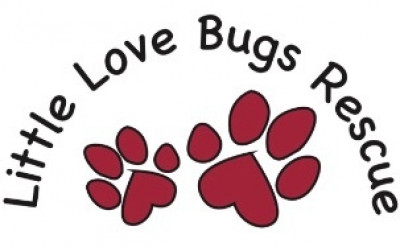 Little Love Bugs Rescue - Pet Shelter and Rescue in Cuyahoga Falls, Ohio