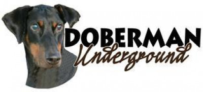 Doberman Underground - Pet Shelter and Rescue in Aurora, Ohio
