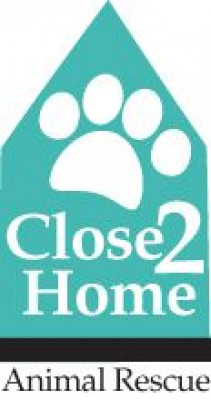 Close To Home Animal Rescue - Pet Shelter and Rescue in McDonald, Ohio