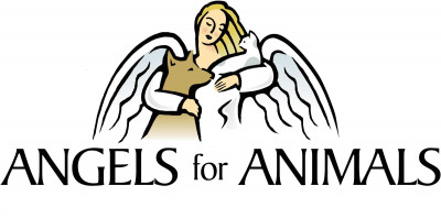Angels For Animals - Pet Shelter and Rescue in Canfield, Ohio
