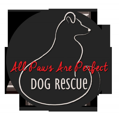 All Paws Are Perfect Rescue - Pet Shelter and Rescue in Boardman, Ohio