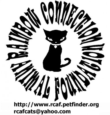 Rainbow Connection Animal Foundation - Pet Shelter and Rescue in Cleveland, Ohio