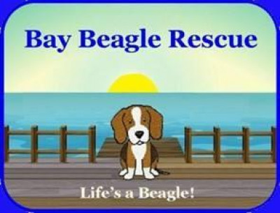 Bay Beagle Rescue - Pet Shelter and Rescue in Virginia Beach, Virginia