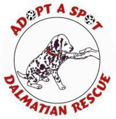 Adopt A Spot Dalmatian Rescue - Pet Shelter and Rescue in Chesapeake, Virginia