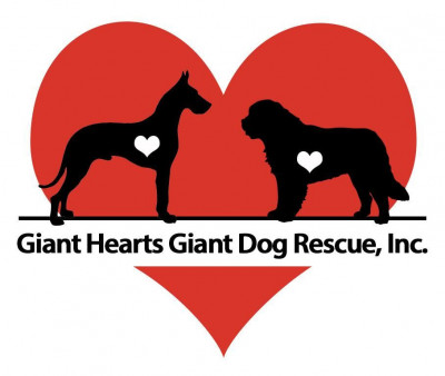 Giant Hearts Giant Dog Rescue, Inc - Pet Shelter and Rescue in Suffolk, Virginia