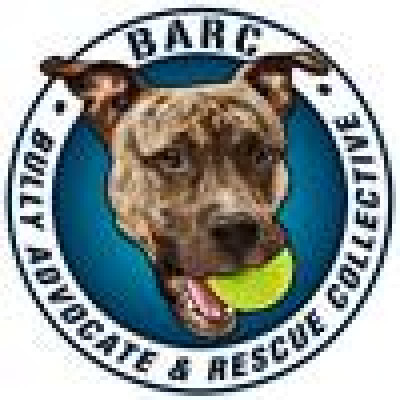 Bully Advocate & Rescue Collective (BARC) - Pet Shelter and Rescue in Zuni, Virginia