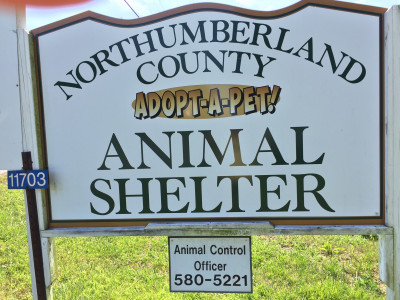 Northumberland County Animal Shelter - Pet Shelter and Rescue in Heathsville, Virginia