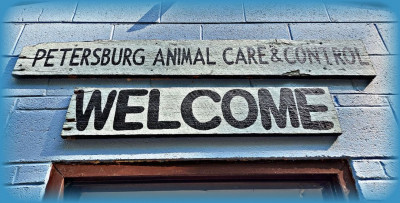 Petersburg Animal Care & Control - Pet Shelter and Rescue in Petersburg, Virginia