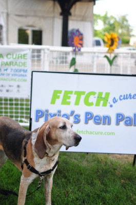 FETCH A Cure - Pet Shelter and Rescue in Richmond, Virginia