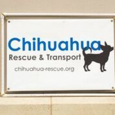 Chihuahua Rescue & Transport, Inc. - Pet Shelter and Rescue in Durham, North Carolina