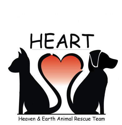 Heaven And Earth Animal Rescue Team (HEART) - Pet Shelter and Rescue in Raleigh, North Carolina