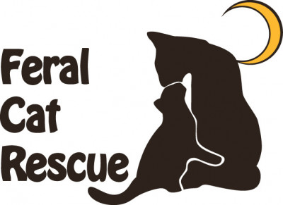 Feral Cat Rescue, Inc. - Pet Shelter and Rescue