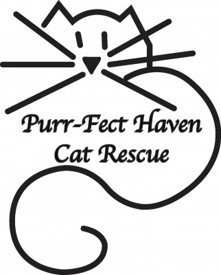 Purrfect Haven Cat Rescue - Pet Shelter and Rescue in Dover, Delaware