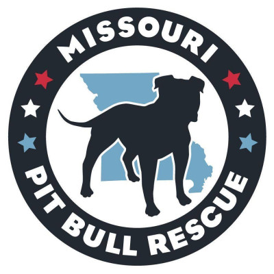 Missouri Pit Bull Rescue - Pet Shelter and Rescue in Kansas City, Missouri
