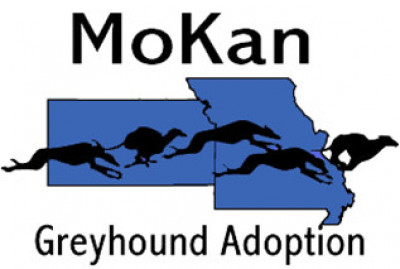 MoKan Greyhound Adoption - Pet Shelter and Rescue in Independence, Missouri