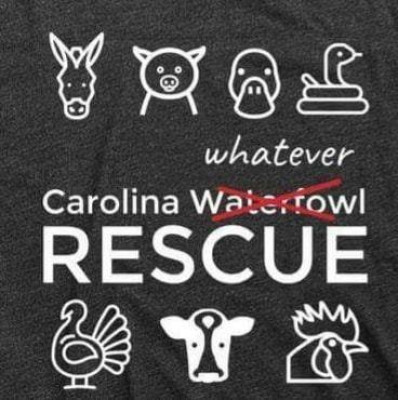 Carolina Waterfowl Rescue - Pet Shelter and Rescue in Indian Trail, North Carolina