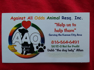 Against All Odds Animal ResQ, Inc. - Pet Shelter and Rescue in Hamilton, Missouri