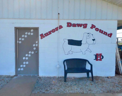 Aurora Dog Pound - Pet Shelter and Rescue in Aurora, Missouri