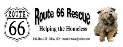 Route 66 Rescue Inc. - Pet Shelter and Rescue in Nixa, Missouri