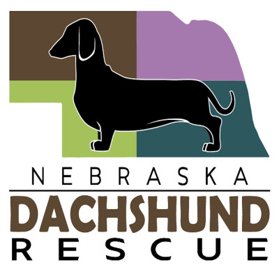 Nebraska Dachshund Rescue - Pet Shelter and Rescue in La Vista, Nebraska