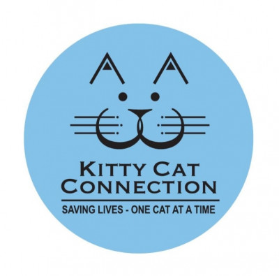 Kitty Cat Connection - Pet Shelter and Rescue in Kansas City, Missouri