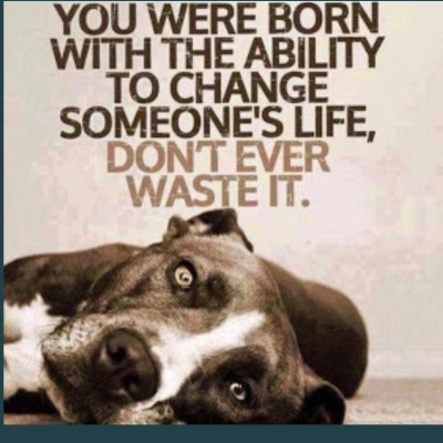 Montgomery City Animal Shelter/Project Precious Paws - Pet Shelter and Rescue in Montgomery City, Missouri