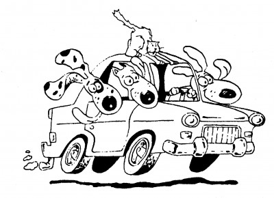 Henry County Humane Society - Pet Shelter and Rescue in McDonough, Georgia