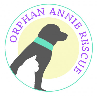 Orphan Annie Rescue - Pet Shelter and Rescue in Sandy Springs, Georgia