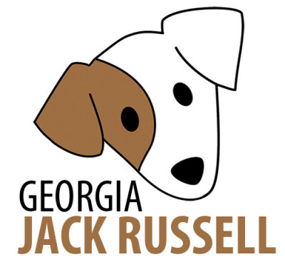 GA Jack Russell Rescue - Pet Shelter and Rescue in Conyers, Georgia