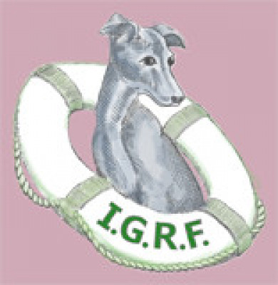 IG Rescue Foundation - Pet Shelter and Rescue in Norcross, Georgia