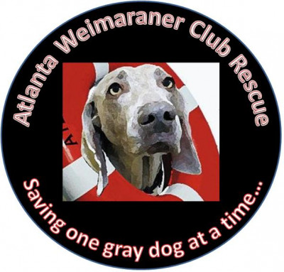 Atlanta Weimaraner Club Rescue - Pet Shelter and Rescue in Marietta, Georgia