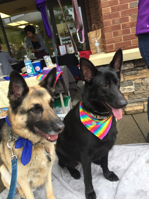 German Shepherd Dog Rescue Group Of Georgia Inc. - Pet Shelter and Rescue in Roswell, Georgia