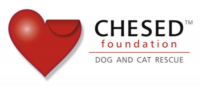 Chesed Foundation Inc. - Pet Shelter and Rescue in Boca Raton, Florida
