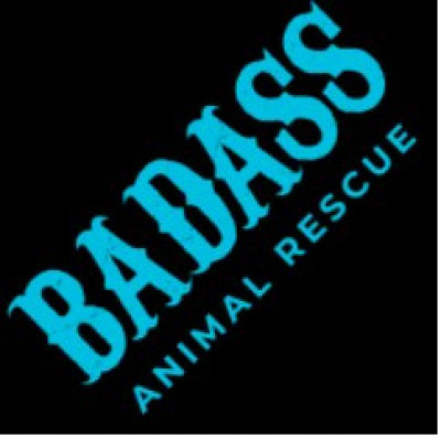 Badass Brooklyn Animal Rescue - Pet Shelter and Rescue