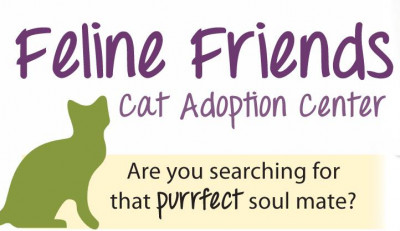 Feline Friends - Pet Shelter and Rescue in Deerfield Beach, Florida