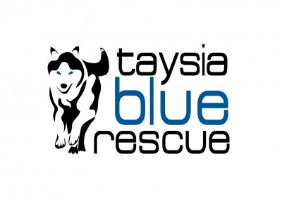 Taysia Blue Siberian Husky Rescue - Pet Shelter and Rescue in Omaha, Nebraska
