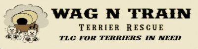 Wag N Train Terrier Rescue - Pet Shelter and Rescue in Omaha, Nebraska