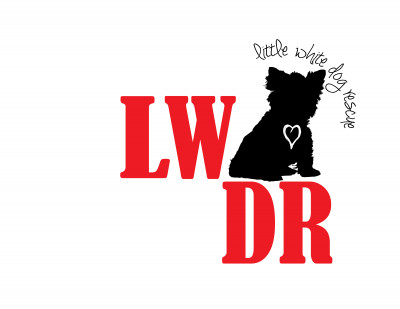Little White Dog Rescue - Pet Shelter and Rescue in Omaha, Nebraska