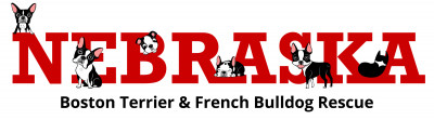 Nebraska Boston Terrier Rescue - Pet Shelter and Rescue in Omaha, Nebraska