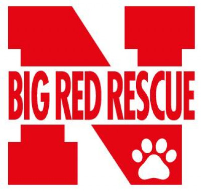 Big Red Rescue Of The Heartland - Pet Shelter and Rescue in Lincoln, Nebraska