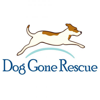 Dog Gone Rescue - Pet Shelter and Rescue in Creston, Iowa