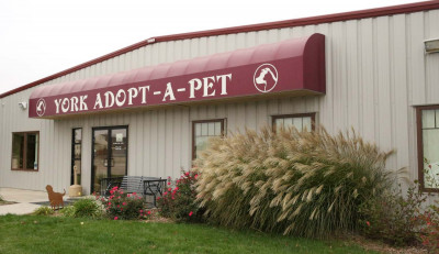 York Adopt-A-Pet - Pet Shelter and Rescue in York, Nebraska