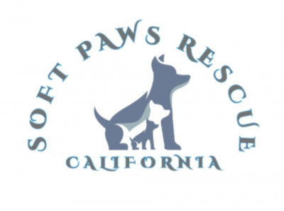 Soft Paws Rescue And Rehab - Pet Shelter and Rescue in Windsor, California